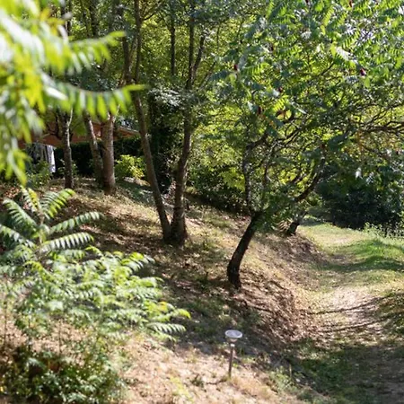 52m² Avec Terrasse A - Api-1-52-366 Sauveterre-de-Rouergue