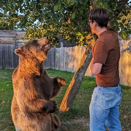 52m² Avec Terrasse A - Api-1-52-366 Kemp Sauveterre-de-Rouergue