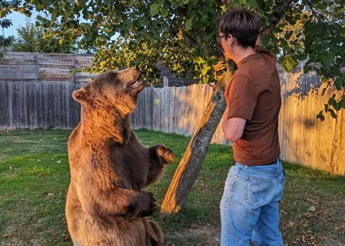 52m² Avec Terrasse A - Api-1-52-366 Kemping Sauveterre-de-Rouergue